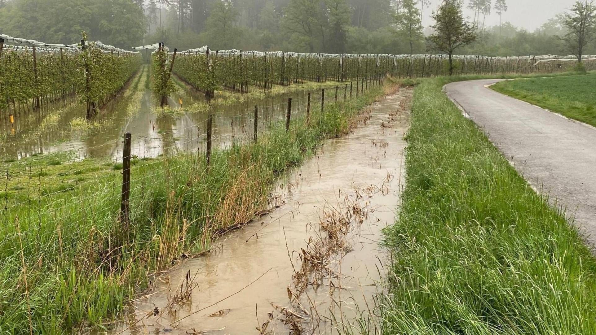 Unwetter im Bodenseekreis Blitz schlägt in Wohnhaus ein Überflutungen