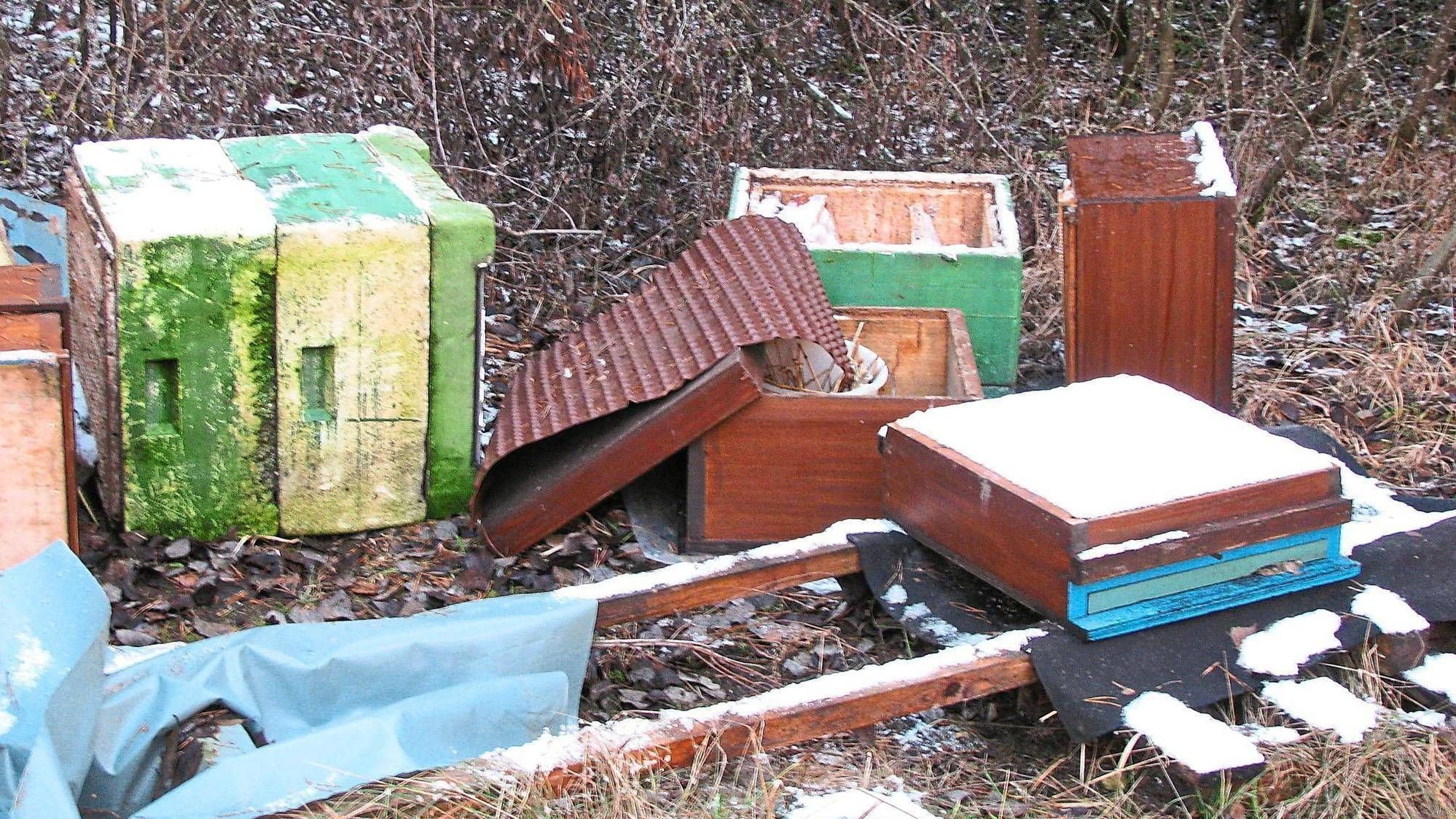 Zehntausende Bienen Sterben Bei Villingen