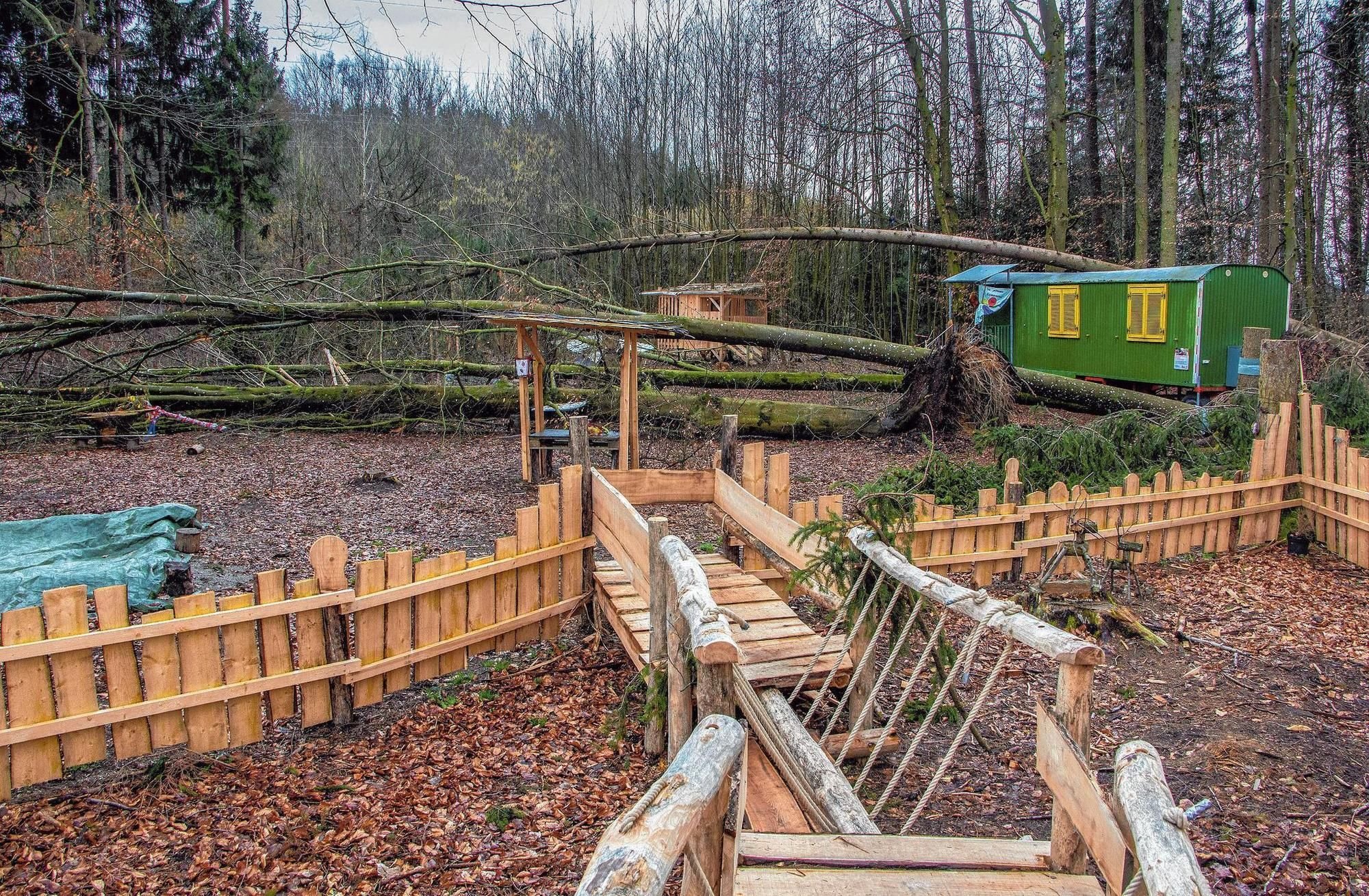 Umgestürzter Baum begräbt den Bauwagen des Waldkindergartens