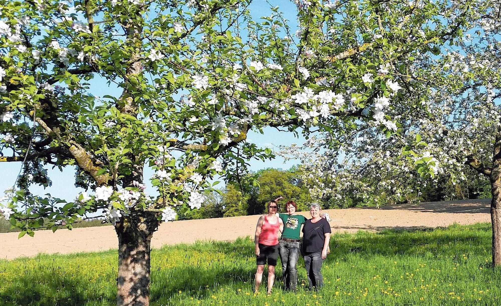 Ehingen Treibt Inklusion Voran