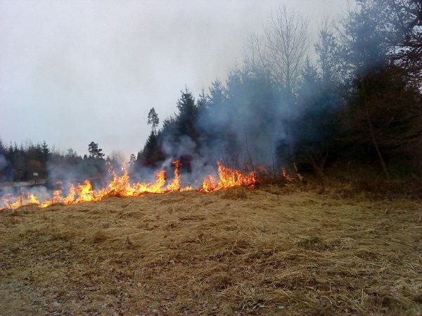 Kameraden Der Feuerwehr R Cken Zu Einem Fl Chenbrand Aus