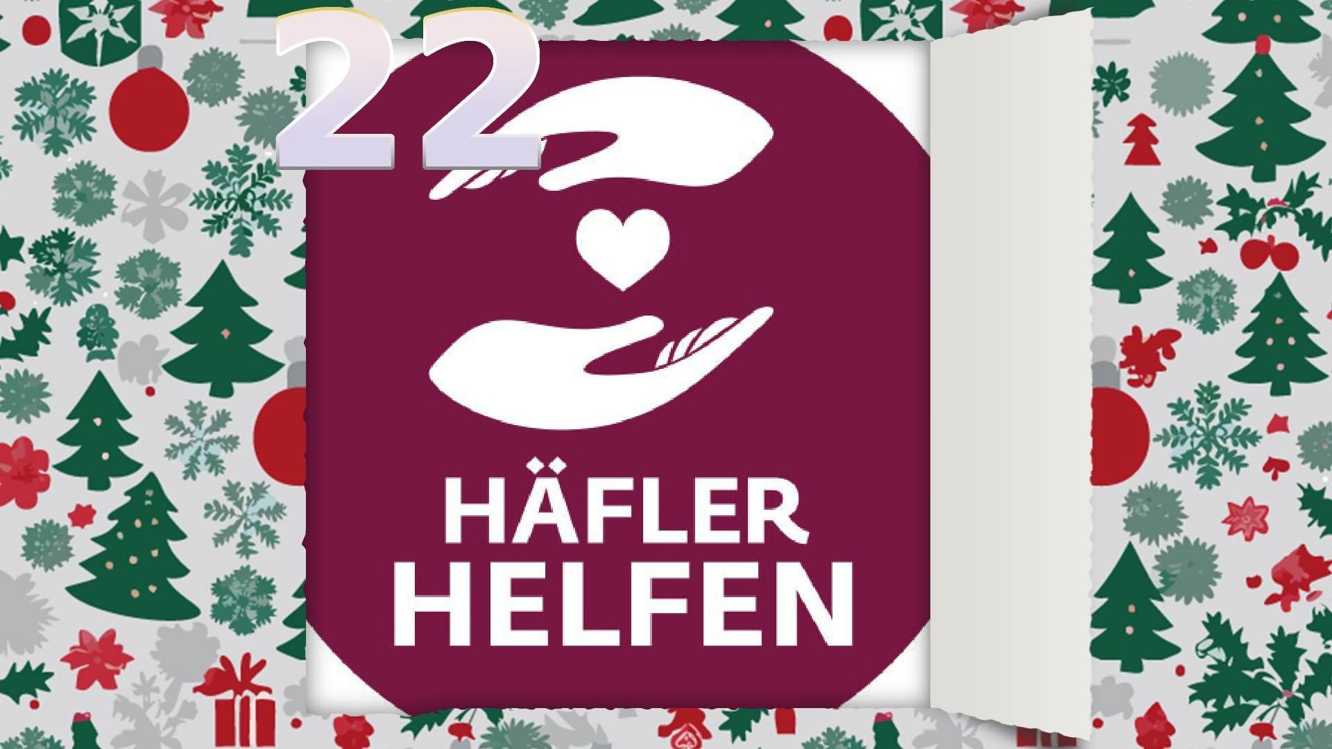 Adventskalender Bodensee Rekordergebnis für Häfler helfen