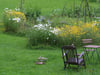 So könnte er aussehen, der "liebevoll vernachlässigte", naturnah gestaltete Garten.