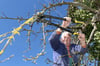 Sichtbarkeit schaffen