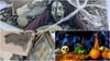Halloween in Friedrichshafen: Wo der Grusel-Trend zu finden ist