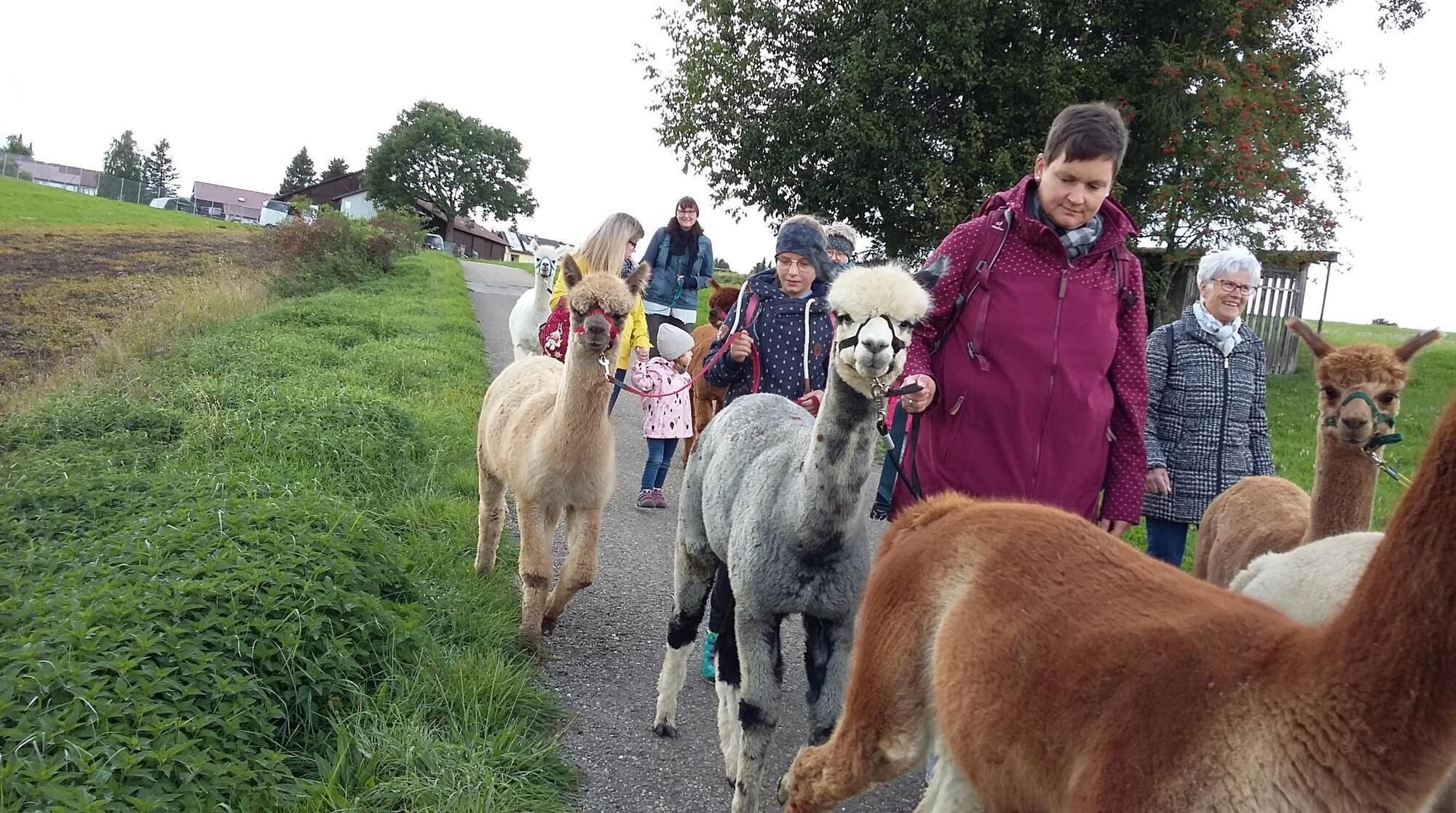 Familienwanderung mit Alpakas