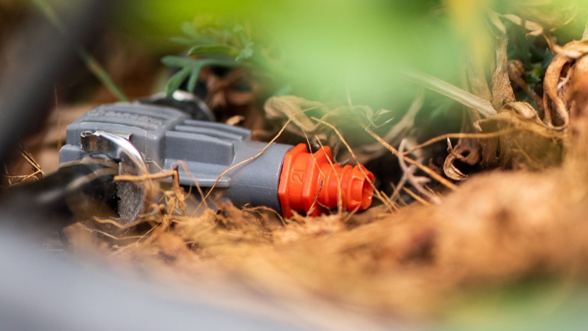Balkonpflanzen automatisch bewässern
