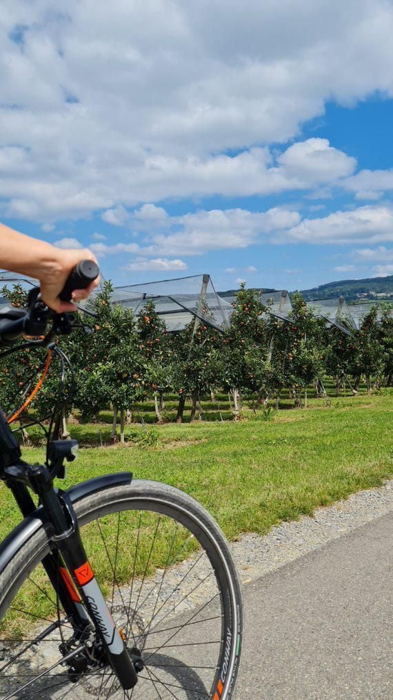 Aus Apfel und Fahrrad wird ein toller Ausflugstag