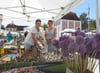  Die Vielfalt an Blumenzwiebeln ist auf der Diga in Wiblingen seit Jahren ein Magnet. Verkäuferin Gaby Meijer (links) packt für Kundin Jasmin Lober ein Auswahl ein.