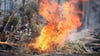 Waldbrandgefahr: Erste Kommunen verbieten Sonnenwendfeuer