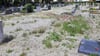 Bad Wurzacher Stadträte sind entsetzt: „Der Friedhof schaut furchtbar aus“