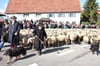 Am 29. September ist Albabtrieb in Denkingen. Bis dahin sollen die Sanierungsarbeiten an der Hauptstraße fertig sein.