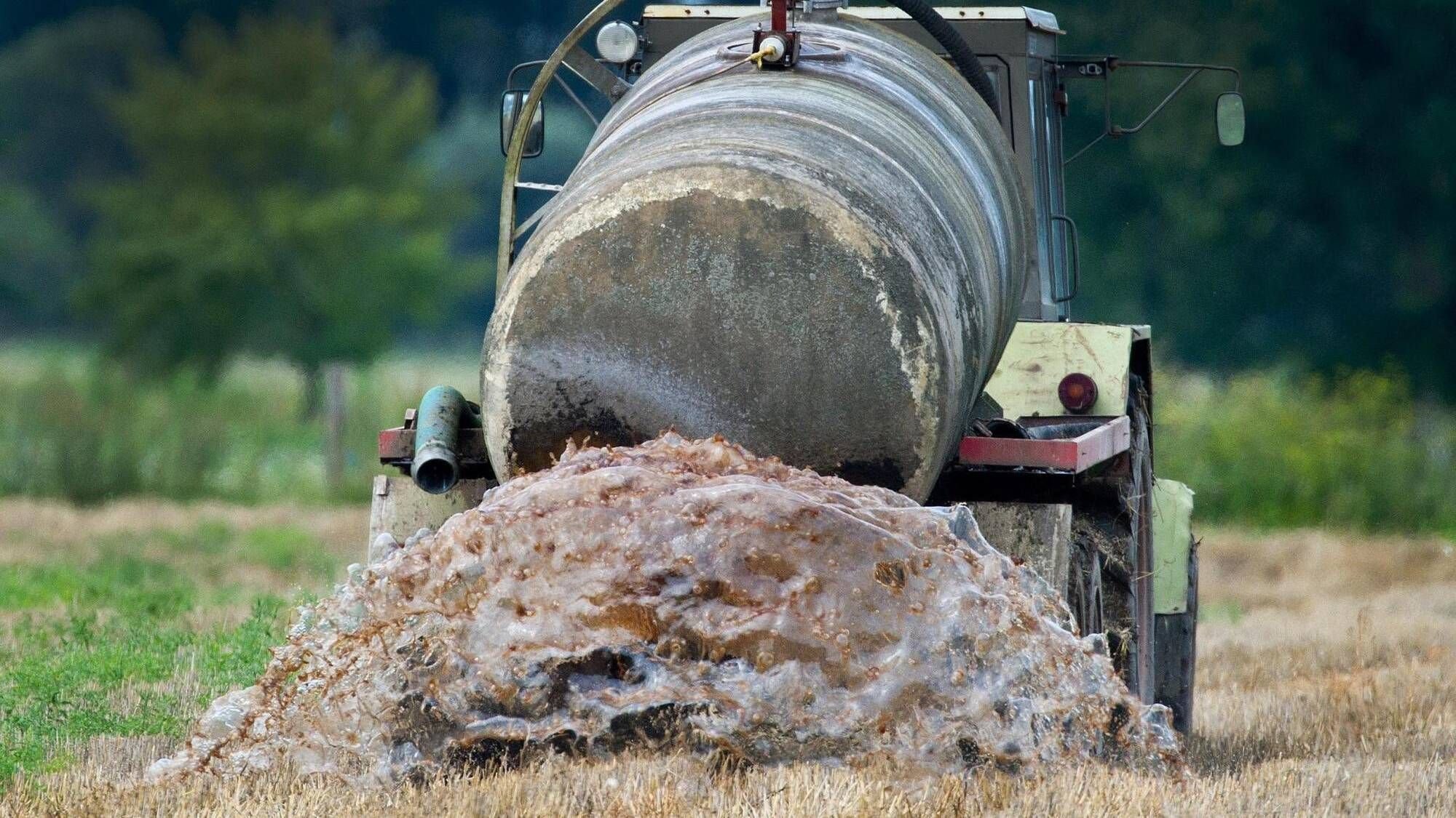 Farmers are allowed to spread manure for longer