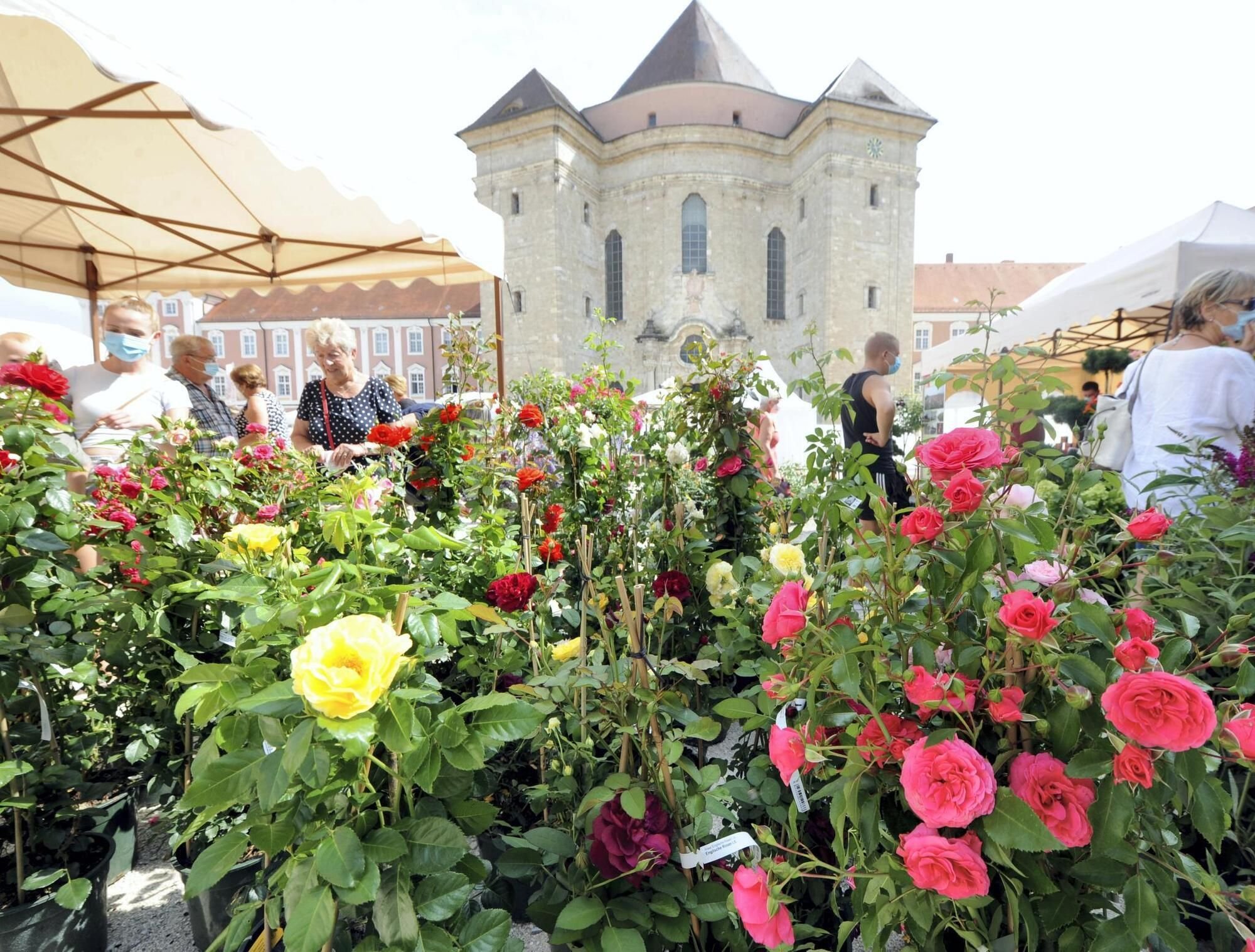 Die Gartenmesse soll Tausende Gäste locken
