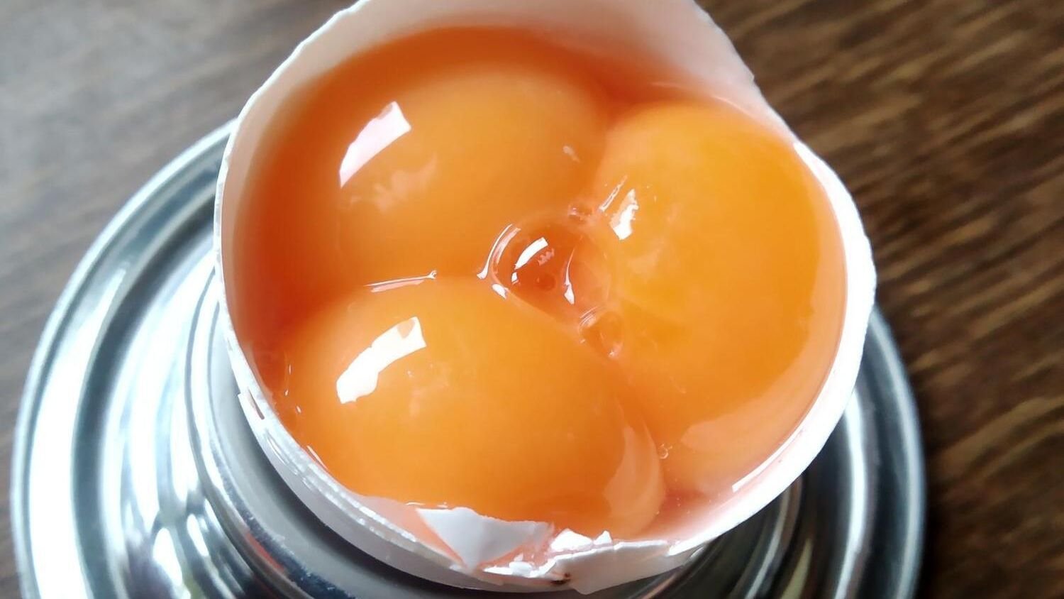 Seitingerin entdeckt drei Dotter in einem Ei - Wie ist das möglich?