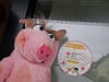 Das Dreckschweinchen Sissi hat einigen Schulen und noch viel mehr Kindern ein Hygienesigel verliehen