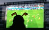 Das ganz große Public Viewing zur Fußball-EM fällt in diesem Jahr aus. Doch in kleinerem Rahmen gibt es das Ereignis durchaus in Tettnangs Lokalen.