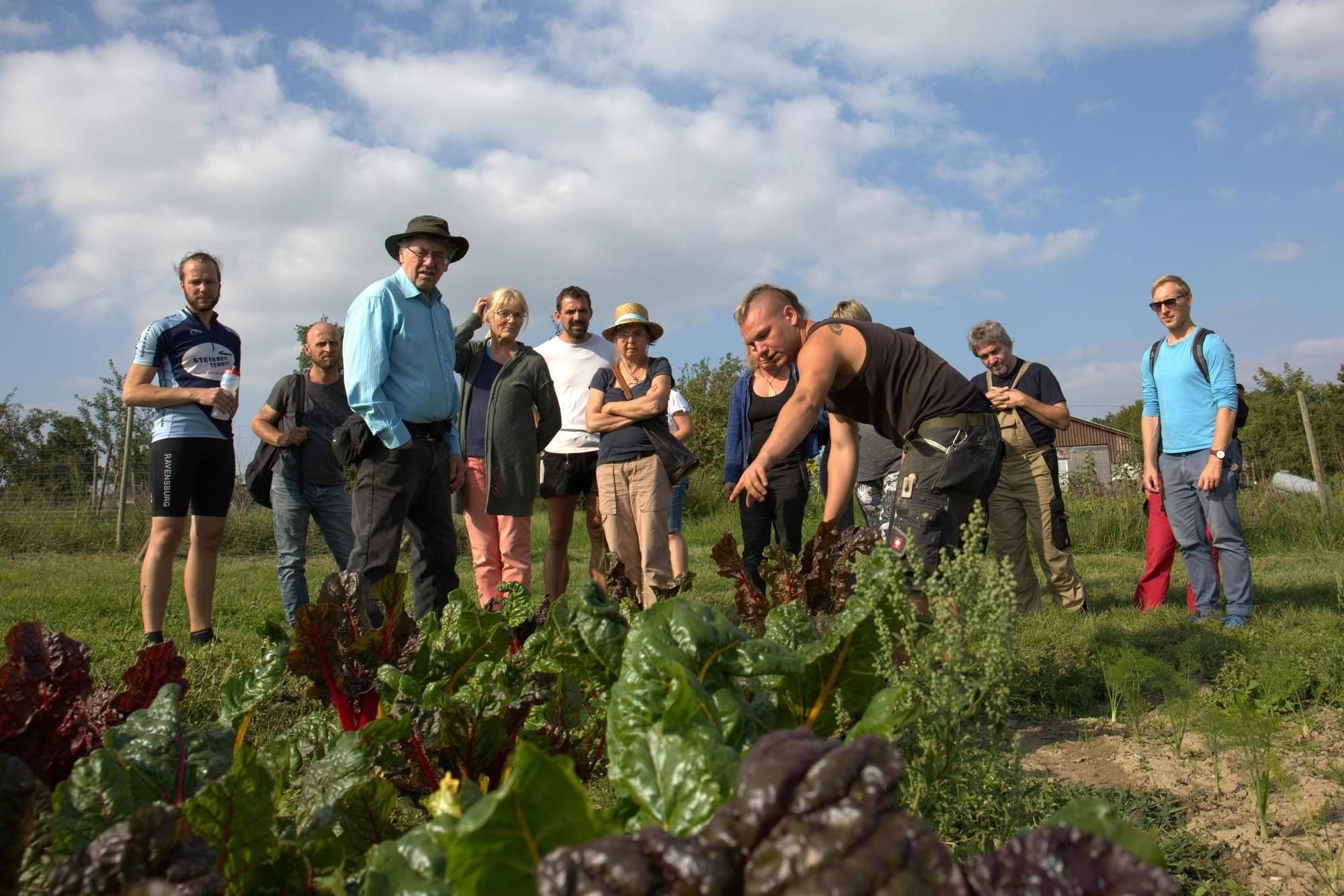 Gruppe Will Die "Solidarische Landwirtschaft" Auch Im Kreis Sigmaringen ...