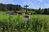 Eine Blühwiese im Eglofstal. Die Gemeinde Argenbühl und die Stadt Isny rufen jetzt wieder zur Teilnahme an der jährlichen Blumenschau auf.
