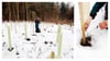 Zwischen 500 geschützten Jungbaumpflanzen: Revierleiterin Katja Walter begutachtet mit ihrem Hund die viereckigen Kunststoffhüllen, sowie die gestrickten Baumwollhüllen, die die jungen Pflänzchen vor Rehen schützen sollen.