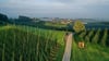 Ein Hopfenfeld bei Tettnang: Vor allem Landwirte aus dem Bodenseekreis sind unzufrieden über die Festlegungen im Regionalplanentwurf, bei dem Biotope vernetzt werden sollen. Sie fürchten dadurch Einschränkungen.