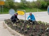 Gerda Vogt (links) und Claudia Braun haben an der an der Verkehrsinsel am Ortsausgang von Wennedach Richtung Maselheim Stauden gepflanzt.