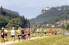  In diesem Jahr sah das Feld beim Donautal-Marathon etwas anders aus. Die Läufer durften corona-bedingt nur in Kleingruppen starten.
