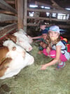  In Honhardt wurde ein Demeterhof besucht. Die Kinder durften Kühe und Schweine füttern
