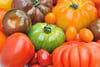  Alle Farben, Größen und Aromen: Wer am Ende die schmackhaftesten Tomaten ernten will, sollte ruhig verschiedene Sorten ausprobieren.