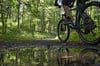 In Leinenfirst bei Neuler haben unbekannte Mountainbiker einen wilden Trial gebaut.