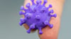 Eine Medizinisch-technische Assistentin hält auf zwei Fingern ein 3D Druck von einem Coronavirus. Foto: Robert Michael/dpa-Zentralbild/dpa