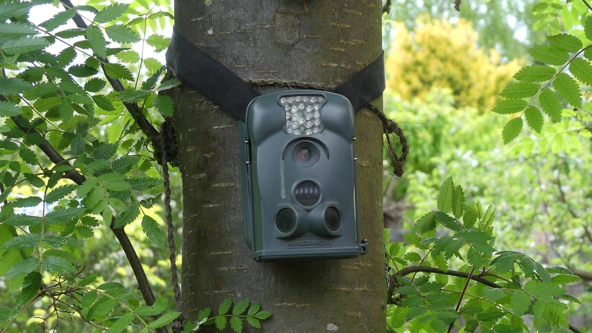 Wieviel Überwachung verträgt der Wald? Bürger fühlen sich beobachtet