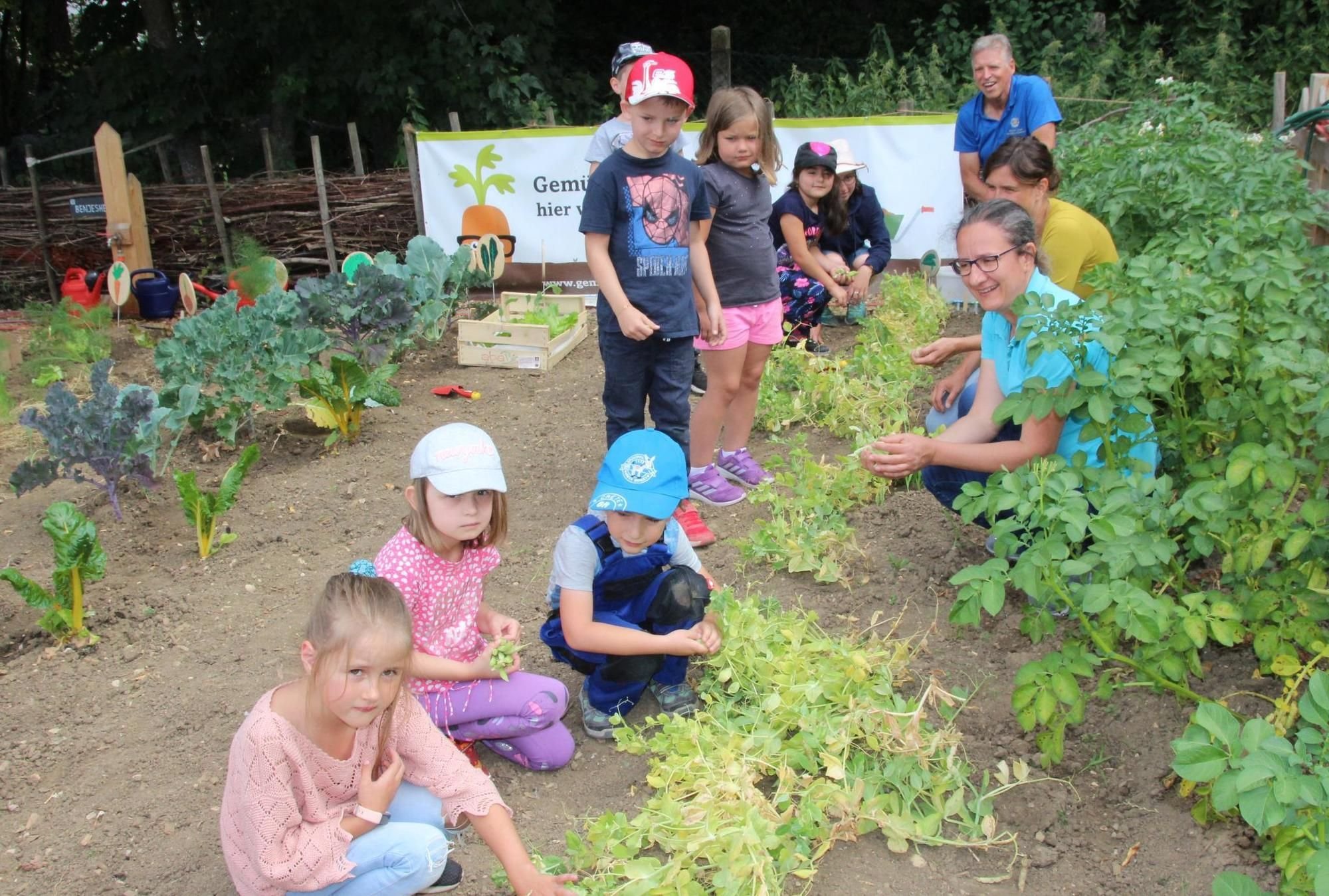 Der Garten der Vielfalt wirft eine gute Ernte ab