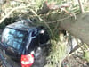 Im Weißen Bild in Biberach ist ein Baum auf ein Auto gestürzt. Es wurde niemand verletzt.