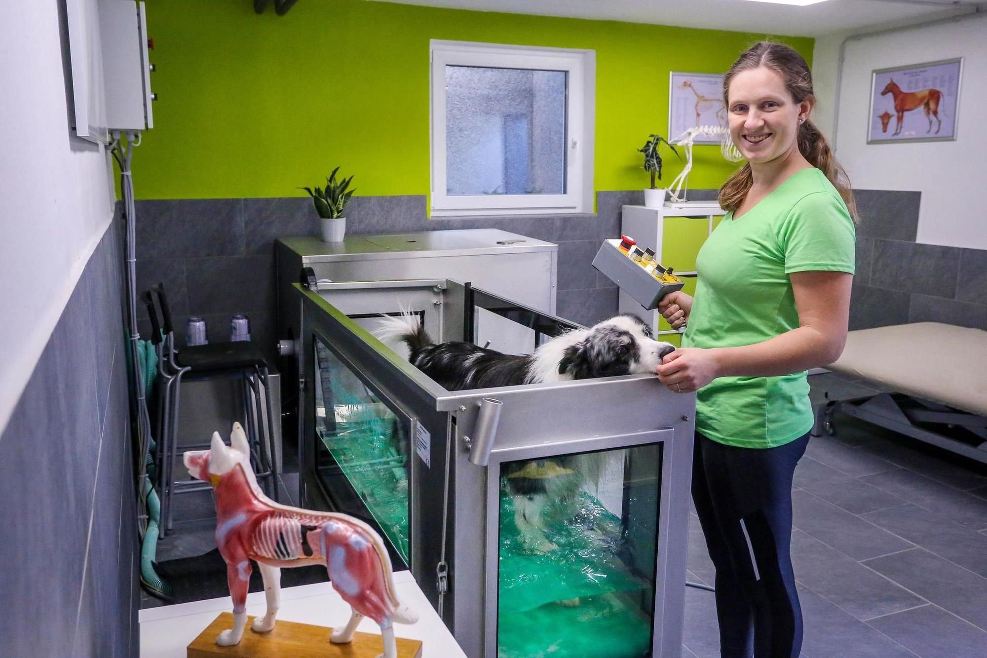 Wieso diese 25-Jährige eine Praxis für Tierphysiotherapie eröffnet hat