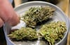 Cannabis scheint in der Region die Lieblingsdroge der Konsumenten zu sein. Das legen zumindest die Fallzahlen der Polizei nahe.