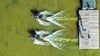 Blick von oben: Beim Start des GT6-Rennens zeichnen die Sportflitzer fischförmige Wellen ins Wasser.