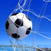 leather soccer ball flies into the net gate