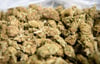 Mehr als 100 Kilo Marihuana geschmuggelt und verkauft: Drogen-Trio angeklagt
