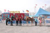  Auf dem Festplatz in Weingarten gastiert seit Mittwoch, 13.März, bis Sonntag, 17. März, Zirkus William.
