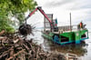 Das Wasserwirtschaftsamt ist mit der Seekuh eifrig dabei, das Treibholz vom Uferbereich aufzusammeln, hier im Naturschutzgebiet Wäsen.