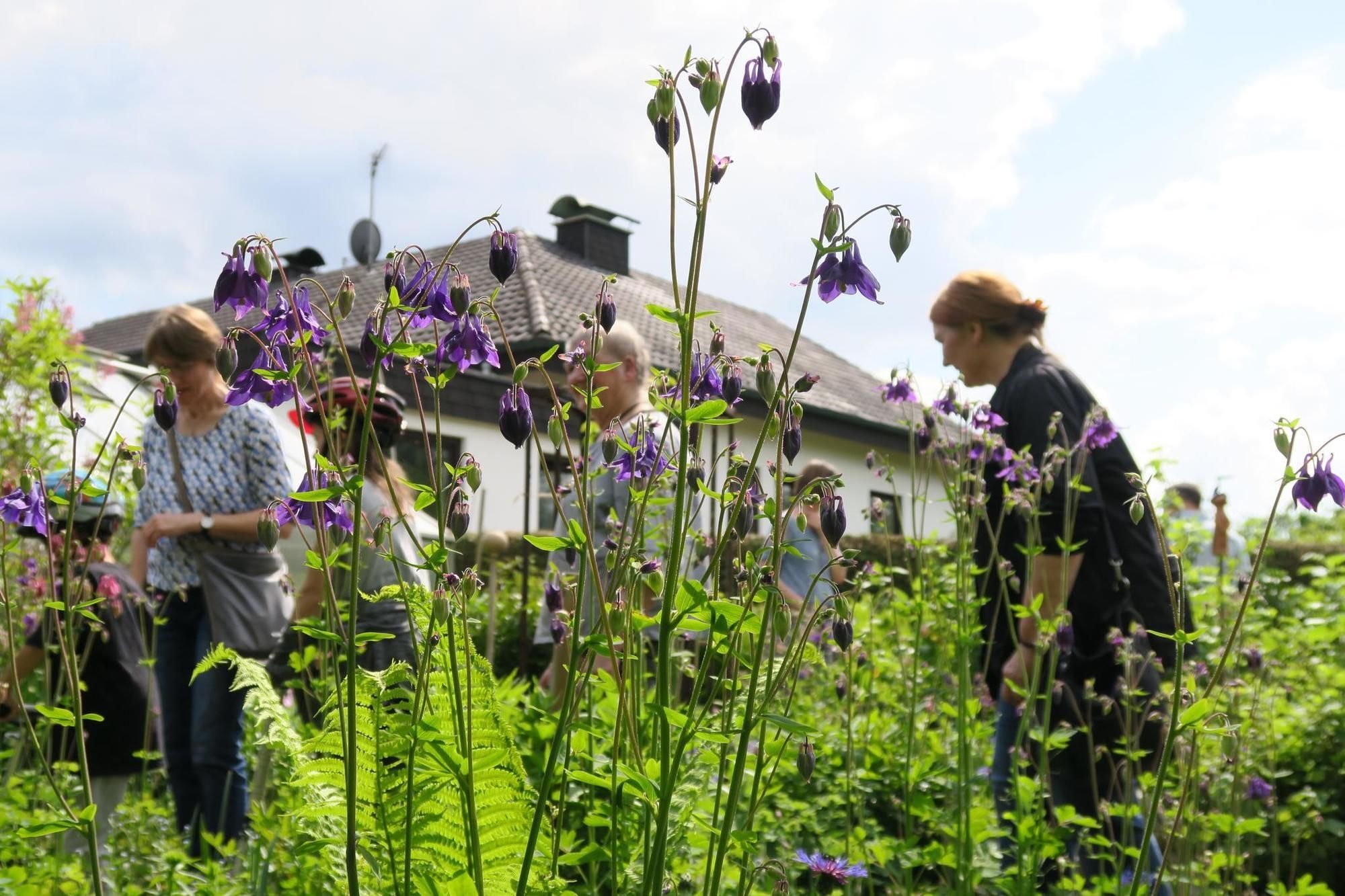 Naturnahes Gärtnern für mehr Artenvielfalt