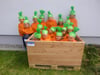  Die „Lustigen Karotten-Kinder“ vom Katholischen Kindergarten St. Maria Eriskirch bekommen einen ersten Preis für ihren kreativen Schnappschuss im Hochbeet.