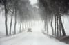 Dichtes Schneegestöber verlangt von Autofahrern am Sonntag große Konzentratioon – so wie hier auf der Allee bei Schwendi.