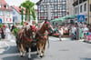  Beim Montfortfest haben Pferdegespanne Vorfahrt. Klassische Verkehrsteilnehmer müssen Umleitungen und sperrungen inkauf nehmen.