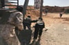  Kämpfer einer bewaffneten Gruppe, die hinter der von den Vereinten Nationen unterstützten Regierung des National Accord (GNA) von Ministerpräsident Fajis al-Sarradsch angehören, suchen Deckung.