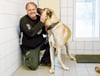 Tierheimleiter klagt: „Bei Hunden wird es immer schlimmer“