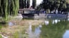 Vor den Vereinsheimen der Ruderer und Kanuten ist beim derzeit niedrigen Wasserstand vom Eisenbahndamm aus deutlich zu sehen, dass sich im Kleinen See sehr viel Schlamm gesammelt hat.