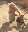 Christiane Stalschus bei ihrem Engagement für Leoparden in Namibia. 