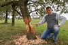  Der Beweis: Armin Bleher zeigt einen angenagten Apfelbaum, der umfallen wird.